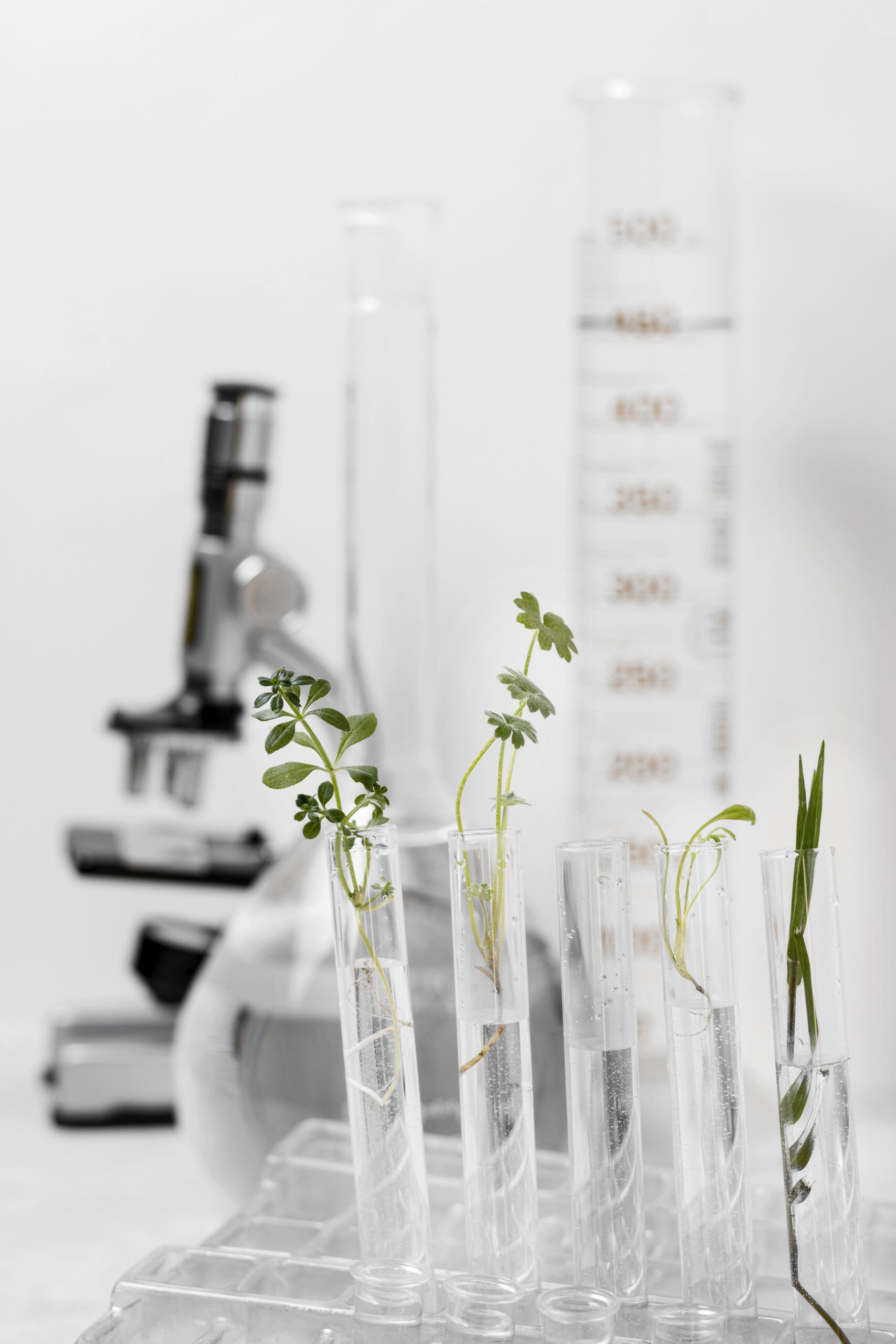 close-up-view-science-concept